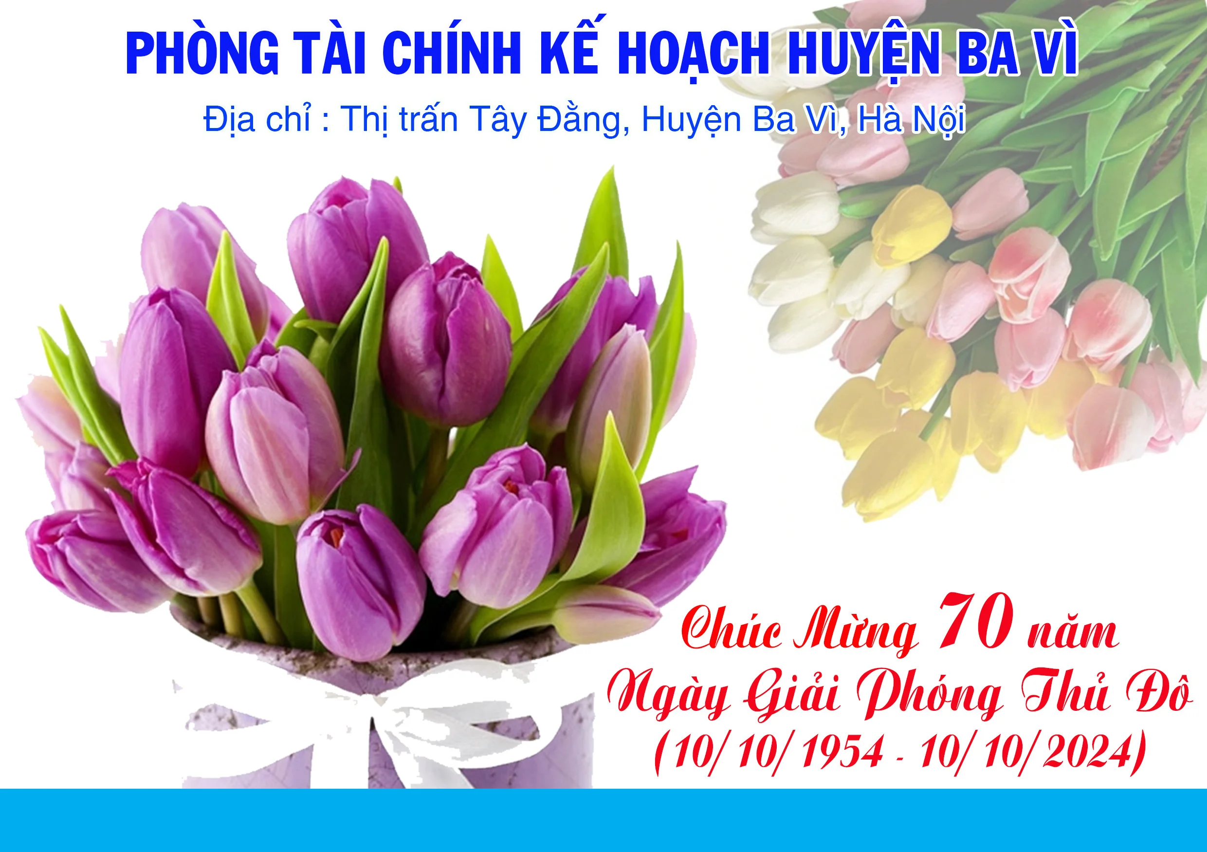 3-banner-trong-phong-tai-chinh-ke-hoach-2