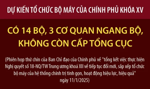 Dự kiến tổ chức bộ máy của Chính phủ khóa XV