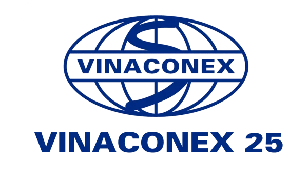 PHÂN TÍCH TÌNH HÌNH TÀI CHÍNH TẠI CÔNG TY CỔ PHẦN VINACONEX25 GIAI ĐOẠN 2022 - 2023