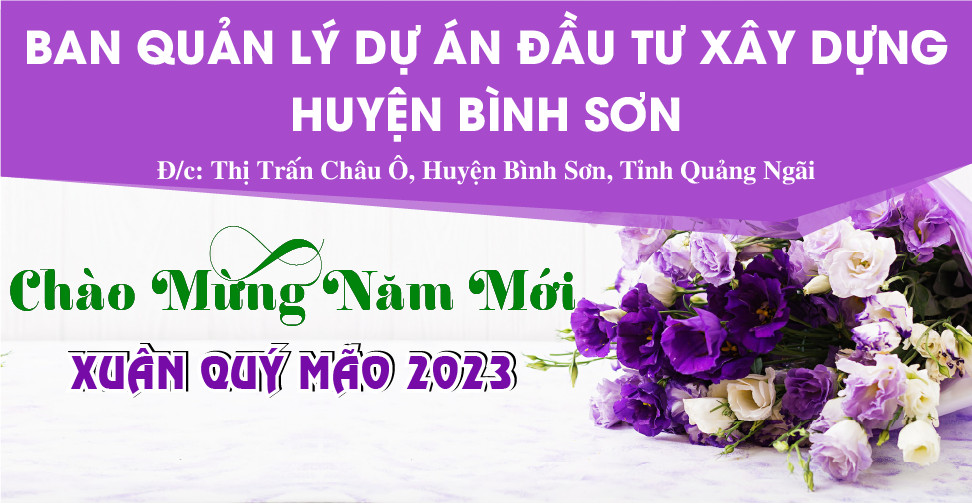 BQL Dự án đầu tư xây dựng huyện Bình Sơn